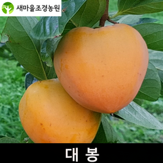 460112c5cc954076d5537f80995b2a2b6efe55d304c75a3d60ac44a3280b.png