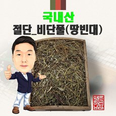 땅빈대