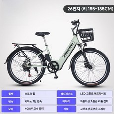 전기 자전거 FP-E754 리튬 배터리 충전식 전동자전거 48V EMTB 바구니자전거 26인치, A. 스포크휠 (라이트그린 / 6Ah)