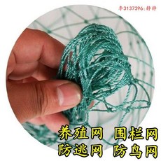 나혼자잘산다 고양이 봉인함 베란다 참외 열매 꽃 키우기 그린 닭오리 꿩그물 그물을 당기다 노화 방지, 12 주식 3센치 2메터 하이 100