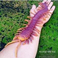곤충피규어 리얼 대왕지네 모형