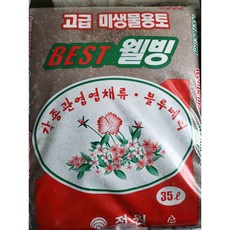 야자상토