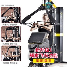 삼두운동 렛풀다운 랫풀다운 숄더프레스 머신 힙어브덕션 헬스기구 가정용 실내 다기능 슈트, 5 천 조각부터