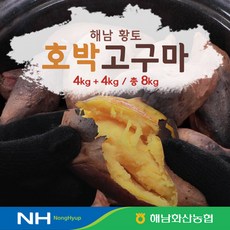 (m)23년 해남화산농협 햇 호박고구마 4kg+4kg / 총8kg