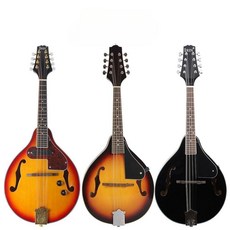 만돌라 전자 음향 8 현 만도린 만돌린 우드 아마추어오케스트라 어쿠스틱, 브라운