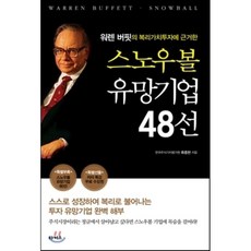 메타몽스노우볼