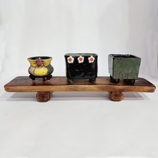발리그네