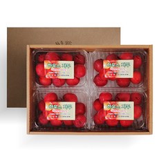 소담한 하우스 햇 자두, 500g