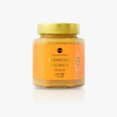 허니마더 UMF15+ 마누카꿀 500g, 1개