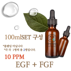 에코문 EGF+FGF 10ppm 2EA세트-100ml 원액 앰플 에센스, 1개, 100ml - 에코문