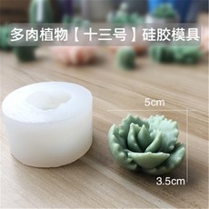 다육공예패키지