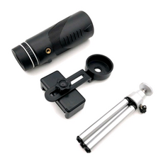 오프라인콘서트