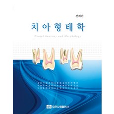 치아형태학, 대한나래출판사