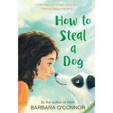 How to Steal a Dog (Paperback) - 도그제자