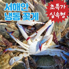 [초특가] 서해안 냉동 급냉 게장용 꽃게 암꽃게 국산 무침용, 1박스, 2kg