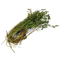 국산 건조 미나리 30g, 1개