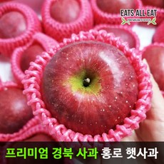 청송아오리사과