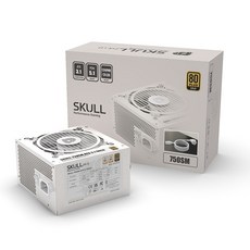 NEWZEN SKULL 750SM 모듈러 ATX3.1 80PLUS 골드 화이트 파워서플라이