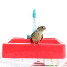 앵무새 목욕 놀이 싱크대 장난감 훈련 교육 애완조 놀이터 새 스트레스 해소 용품, T060_싱크대 장난감(색상랜덤)