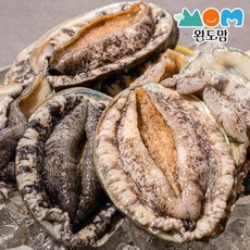 완도맘 완도 활 전복 1kg(7-8미) 선물포장, 1개