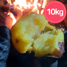 해남땅끝마을 햇 무농약 세척 꿀고구마 3kg 5kg 10Kg 베니하루카 캠핑 애견 다이어트용 김성신 고구마, 대, 세척 꿀고구마 10kg