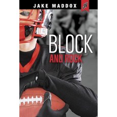 Block and Rock Hardcover, Stone Arch Books