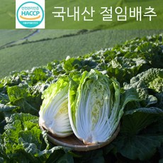 중국산절임배추