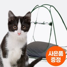 [출입FREE] 길고양이 외풍차단 겨울집 급식소