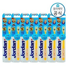 조르단칫솔버디