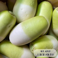지구별장터 무우 햇무 무, 1박스, 5kg