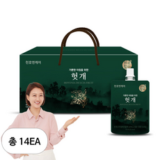 하루활력 가뿐한 아침을 위한 헛개즙, 2.1L, 14개