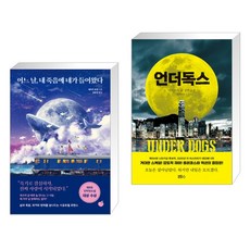 일본모모책
