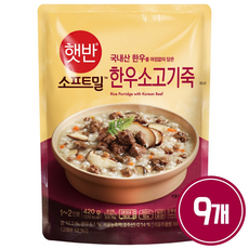 비비고 한우 소고기죽, 420g, 9개