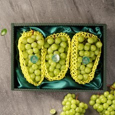 [세원팜스]고당도 샤인머스캣 1.5kg 2-3수 과일선물세트, 1박스, 상세 설명 참조