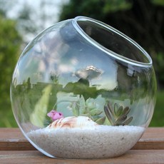 사구미경관 이끼 생태병 고투명 다육 유리 꽃병 DIY 꽃병 선물, 12cm, 12cm