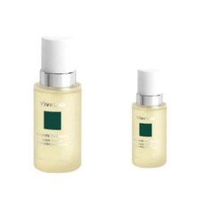 VibeLab Revive Therapy Hair Scalp Enhancement Foam 바이브랩 리바이브 테라피 헤어 스칼프 인핸싱 폼, 133ml, 1개