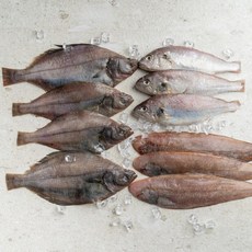 서피랑피쉬마켓