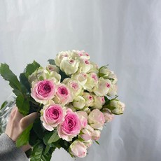 [꽃 마실] 젤라토 미니 장미 한다발 생화