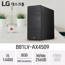 LG 데스크탑 B81LV-AX4509, 8GB, 256GB, FreeDos, 8GB