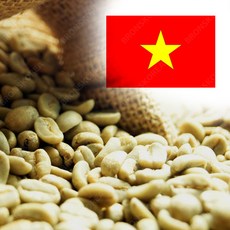 생두 베트남 웻 폴리시드 G1 1kg X 2개(생두 2kg) 커피생두