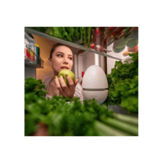 냉장고냄새오토라