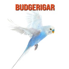 15855ebf744016250dc301c96af9a8fb4d18f72a6601b60ab50bb0410e7c.jpg
