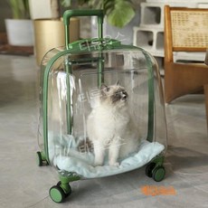 캣 Transparent 케리어 이동장 강아지 케이지 애견 백, 303 분말