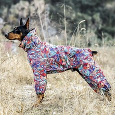 Corgiology 패턴 야광 강아지 우비 레인코트 바람막이 대형견 중형견 소형견, 패턴02, 1개