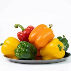[더자인] 국내산 아삭한 파프리카 1.5kg, 단일속성, 1개