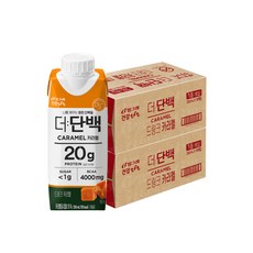 (정품배송) BINGGRAE 더단백 드링크 250ml 36팩 (18팩 x 2박스) 카라멜 1369206, 0.25l, NONE