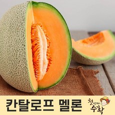 첫번째수확 명품 과일 칸탈로프 멜론 4kg 6kg 8kg, 1박스(2수), 4~5kg