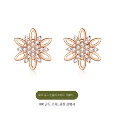 눈꽃피어싱
