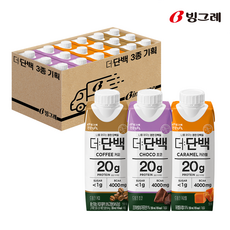 빙그레 더단백 드링크 프로틴음료 250ml 3종 기획 각6개, 4세트
