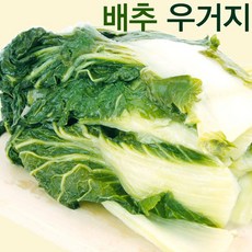 건배추